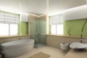 Renovations Bathroom Renovations